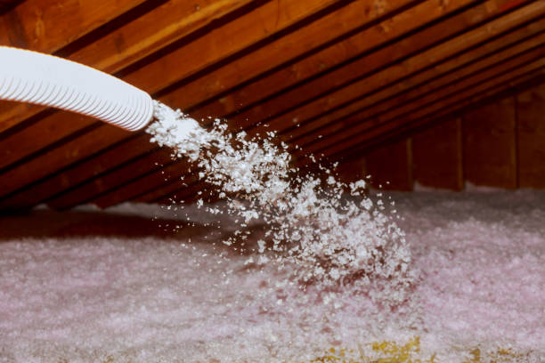 Types of Insulation We Offer in Florida Ridge, FL