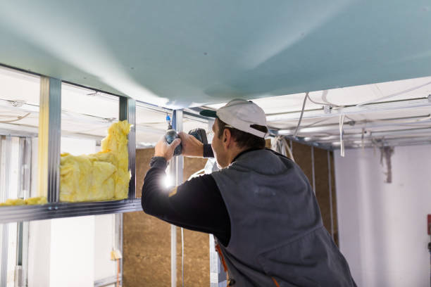 Best Insulation Maintenance and Repair in Orida Ridge, FL
