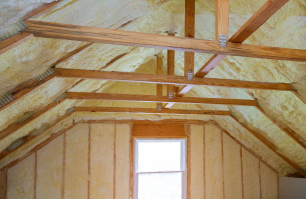 Best Cellulose Insulation in Orida Ridge, FL