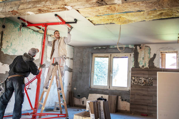 Best Insulation Maintenance and Repair in Orida Ridge, FL