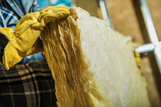 Best Eco-Friendly Insulation in Orida Ridge, FL