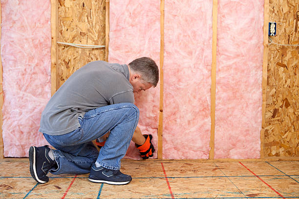 Best Energy Efficiency Insulation in Orida Ridge, FL