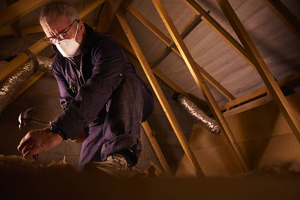 Best Geographic-Specific Insulation Services in Orida Ridge, FL